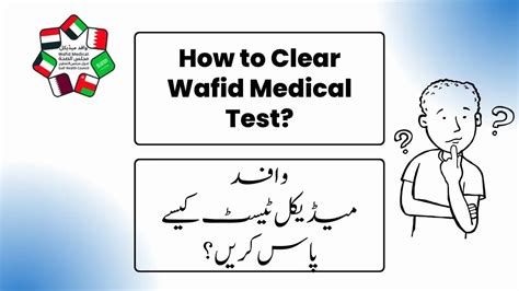 Wafid .